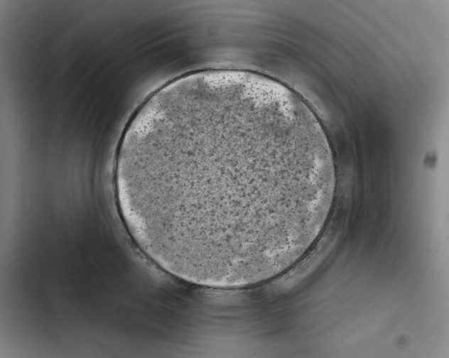 X0000102340856200808291136