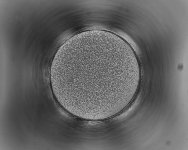 X0000102340857200808291136
