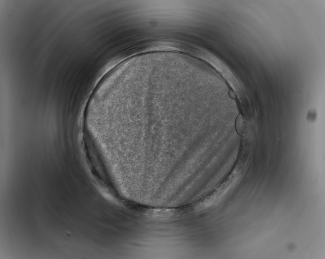 X0000102340858200808291136