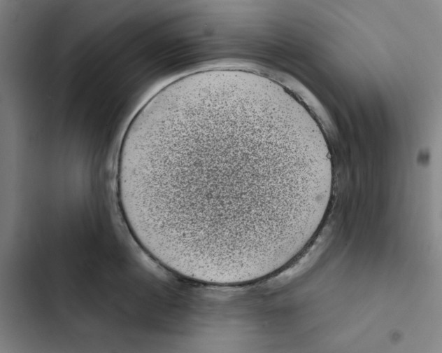 X0000102340860200808291136