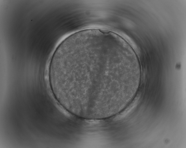 X0000102340862200808291136