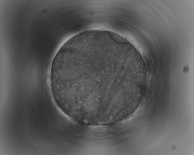 X0000102340863200808291136