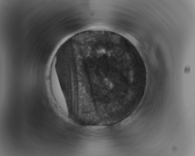 X0000102340864200808291136