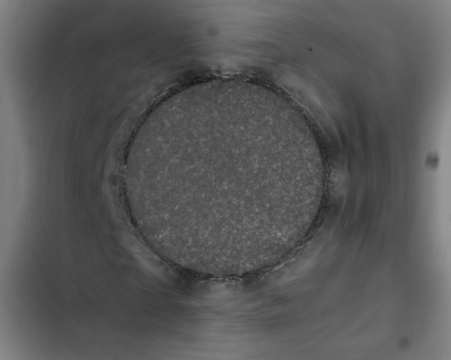 X0000102340865200808291135