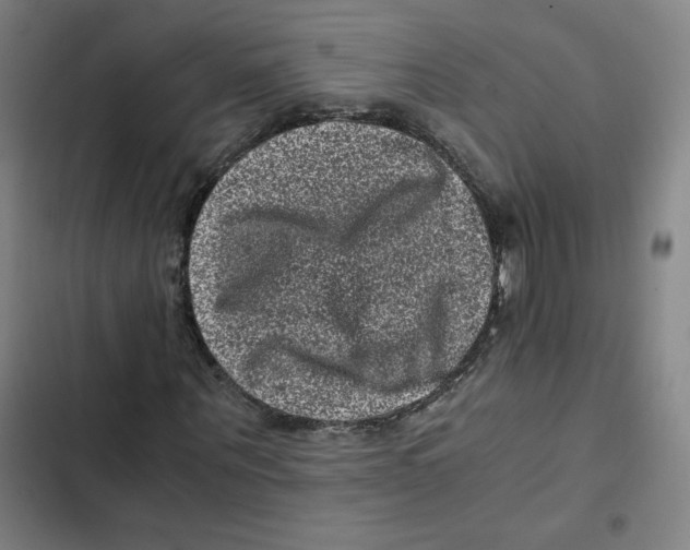 X0000102340867200808291135