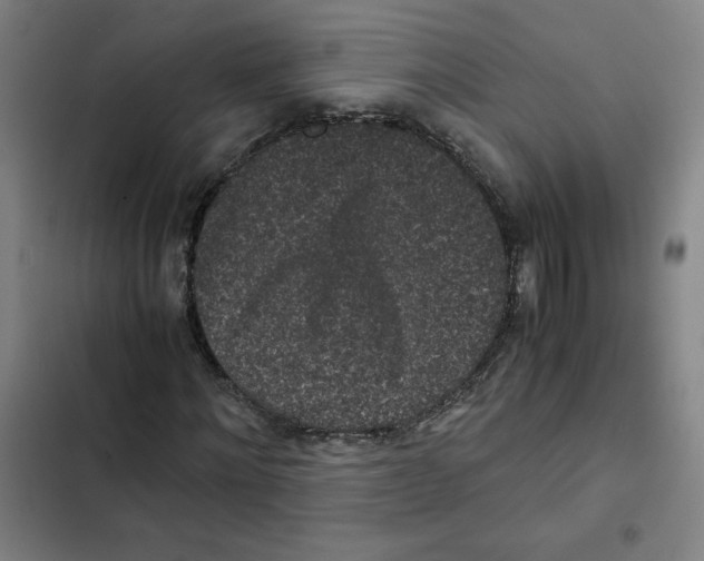X0000102340868200808291135