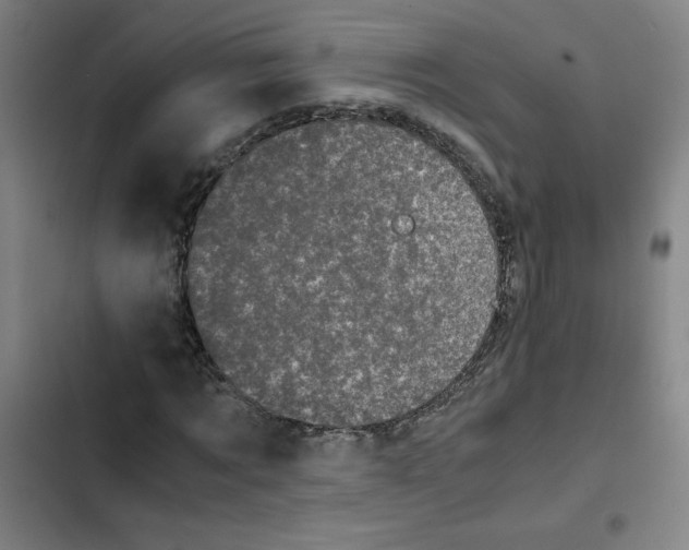 X0000102340869200808291135