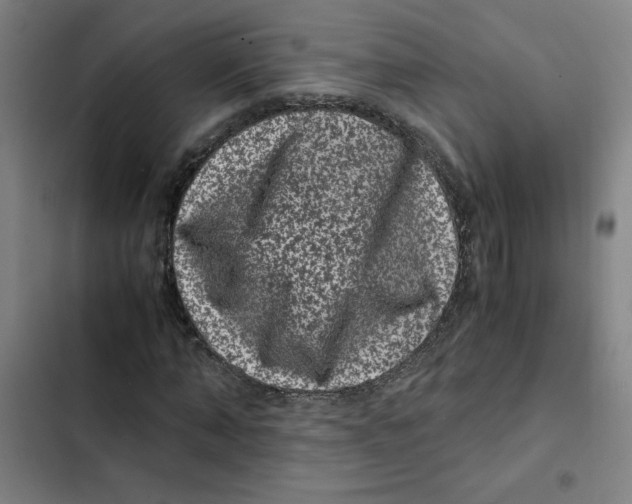X0000102340870200808291135