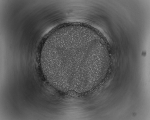 X0000102340871200808291135