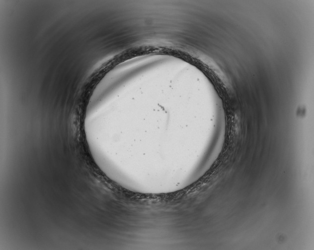 X0000102340872200808291135