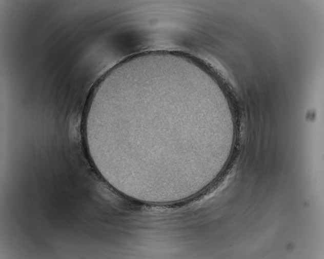 X0000102340873200808291135