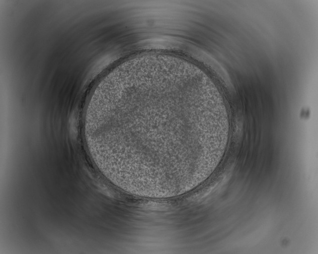 X0000102340874200808291135