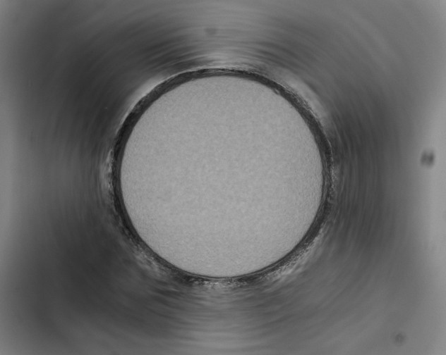 X0000102340875200808291135