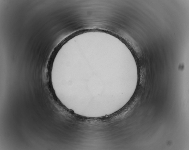X0000102340876200808291135