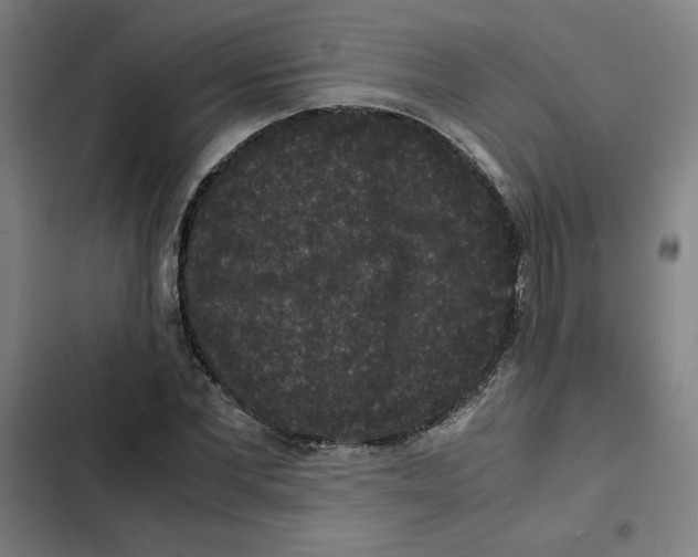X0000102340877200808291135