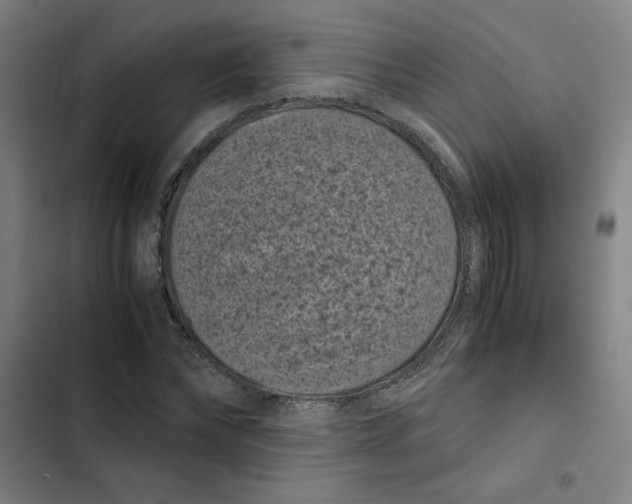 X0000102340878200808291135