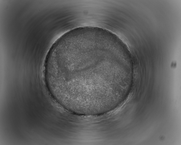 X0000102340879200808291135