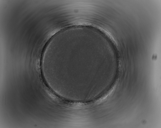 X0000102340881200808291135