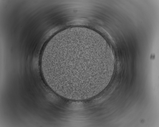 X0000102340882200808291135