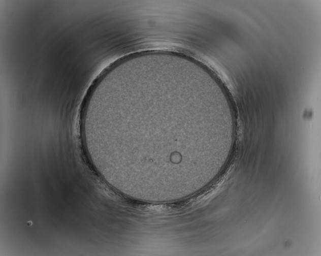 X0000102340883200808291135
