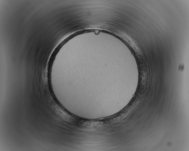 X0000102340884200808291135