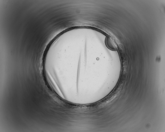 X0000102340885200808291135