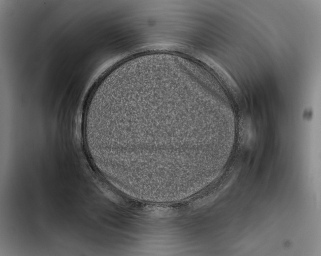 X0000102340886200808291135