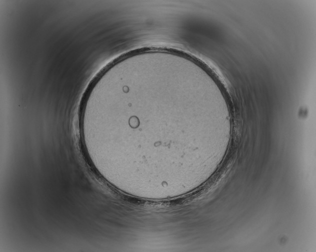 X0000102340887200808291135