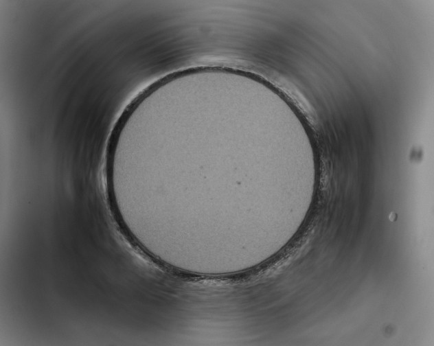 X0000102340888200808291135