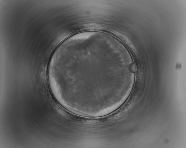 X0000102340889200808291135