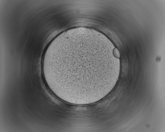 X0000102340890200808291135