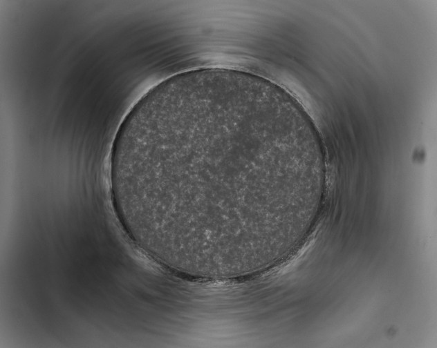 X0000102340891200808291135