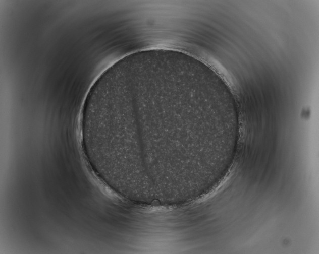 X0000102340892200808291135