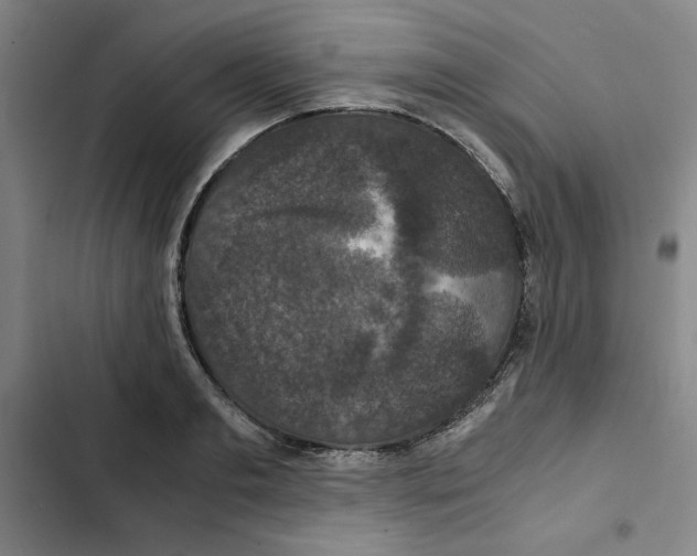 X0000102340893200808291135