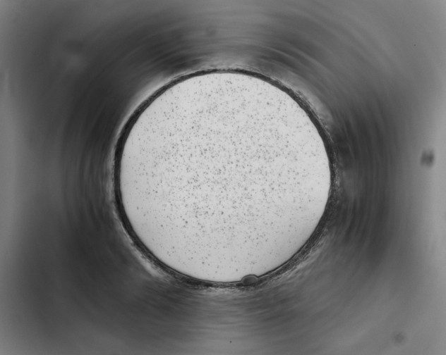 X0000102340894200808291135