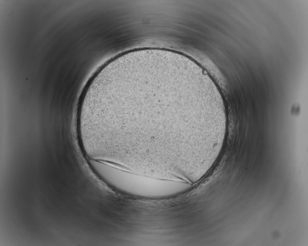 X0000102340896200808291135