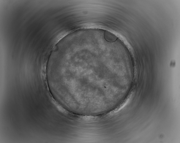 X0000102340897200808291135