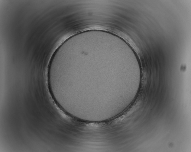 X0000102340898200808291135