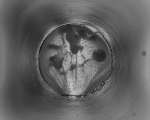 X0000102340899200808291135