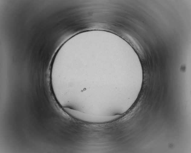 X0000102340900200808291135