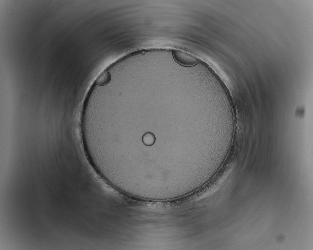 X0000102340901200808291135
