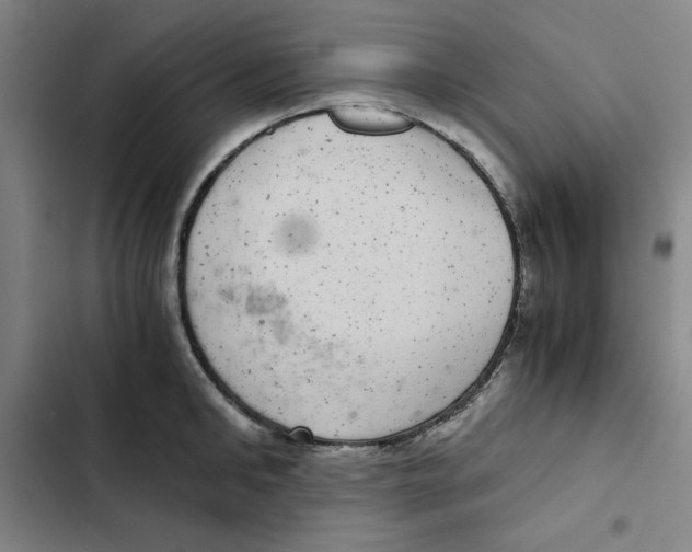 X0000102340902200808291135