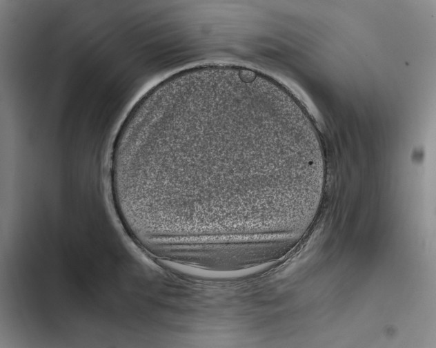 X0000102340903200808291135
