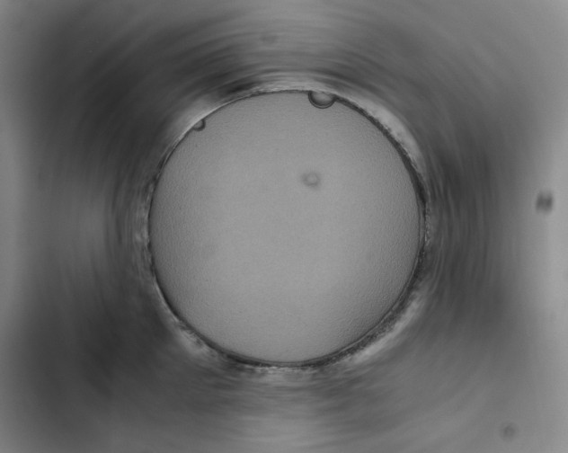 X0000102340905200808291134
