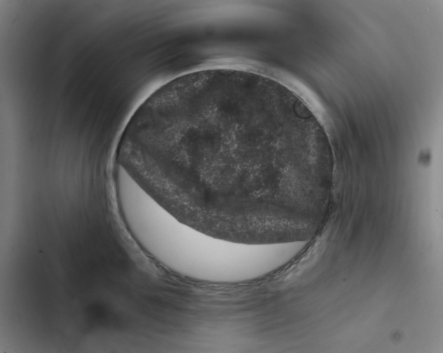 X0000102340907200808291134