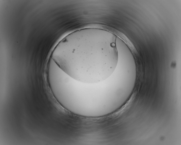 X0000102340908200808291134