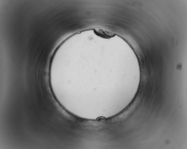 X0000102340910200808291134