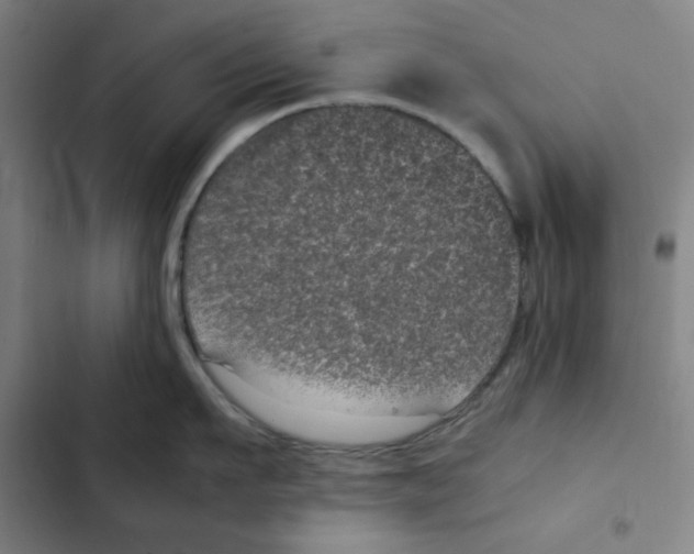 X0000102340911200808291134
