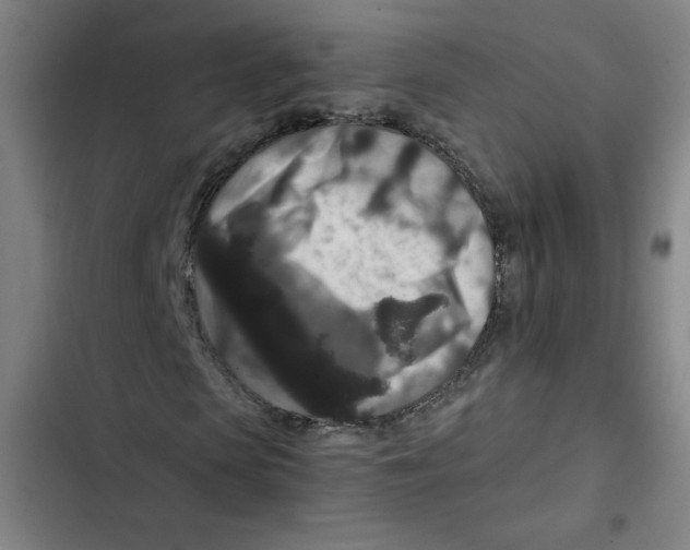 X0000102340913200808291134