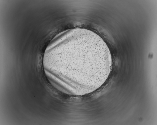 X0000102340914200808291134
